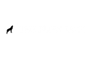 The Flow Pack